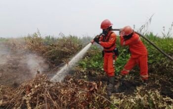 Industri Sawit dan Asap Karhutla yang Mengepung Langit Republik