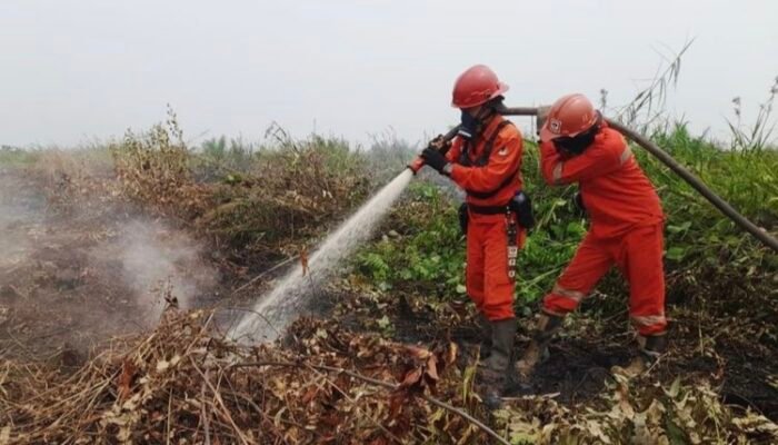 Industri Sawit dan Asap Karhutla yang Mengepung Langit Republik