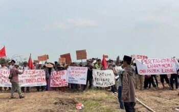 Sawah Kayu Bongkok Terancam Perumahan, Warga Minta Proyek Disetop