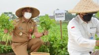 Kabupaten Tangerang Punya Gedung Pusat Kawasan Agropolitan di Sepatan