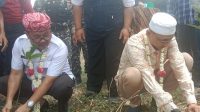 Ekowisata Mangrove Desa Pengarengan Jawi Tempat Wisata Baru di Cirebon