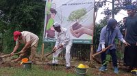 Joss! Ikut Sukseskan G20 di Bidang Lingkungan Hidup, YAPELH Tanam Ribuan Pohon