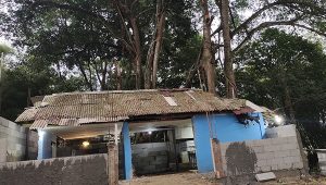 Gajah Barong, Cerita Turun-temurun Warga di Makam Keramat