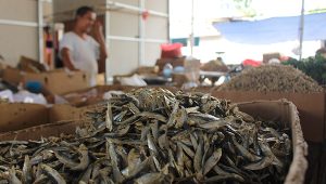 Mau Belanja Ikan Asin? Di Pasar Korelet Aja, Komplit!