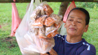 Menelusuri Jamur Tandan Kosong Kelapa Sawit di Lampung Tengah