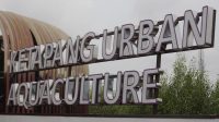 Peran DLHK Kabupaten Tangerang dalam Menata Kawasan Wisata Ketapang Urban Aquaculture  di Mauk