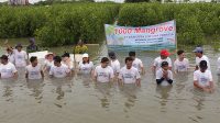 Araputra Fortuna Perkasa Tanam Seribu Bibit Mangrove di Pantai Ketapang