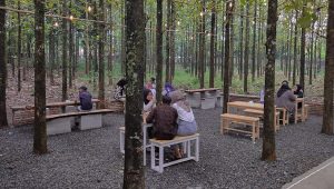 Kebon Djatidiri, Perpaduan Etnik-Moderen dan Ramah Lingkungan