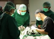 RSUD Balaraja Gelar Bakti Kesehatan Operasi Bibir Sumbing Gratis