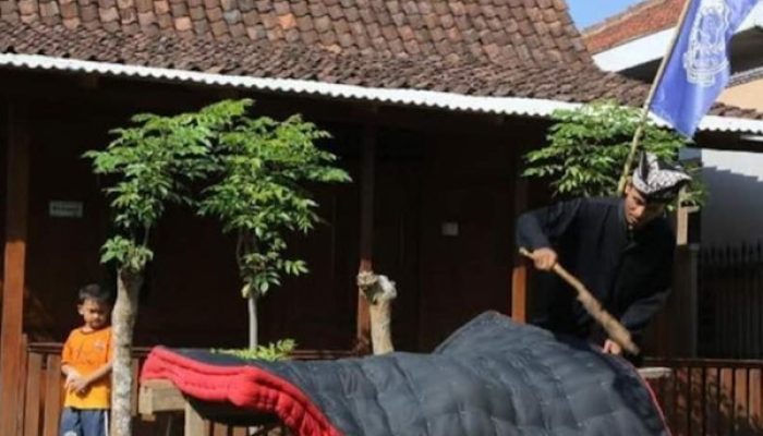 Tradisi Suku Osing, Mepe Kasur dan Tumpeng Sewu Pecel Pithik