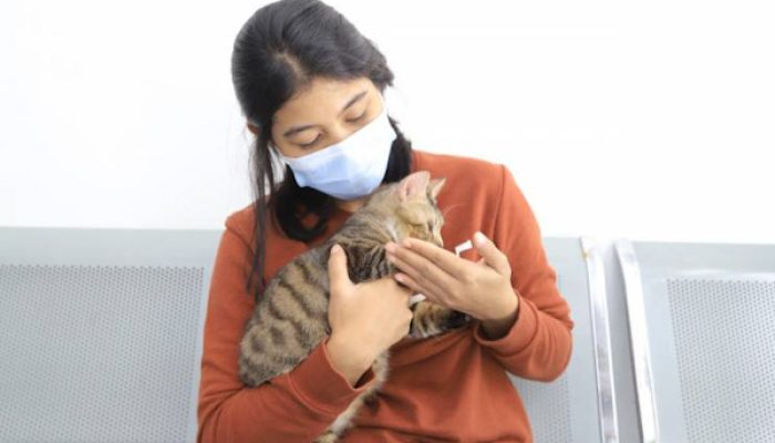 DKP Kota Tangerang Buka Layanan Kastrasi Kucing Jantan