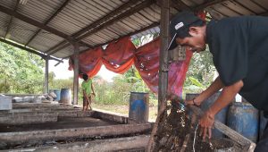 TPST Citra Raya Perangi Sampah dengan Bioteknologi BSF dan Bakteri Em4